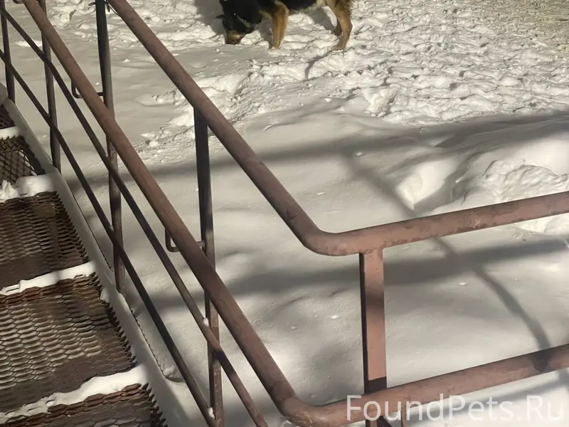 С 01 января в районе парка...