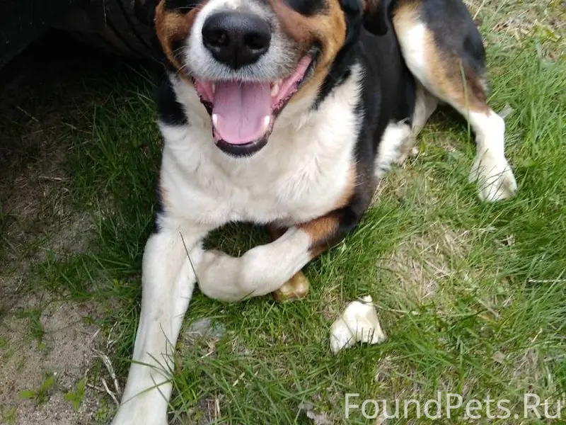 Воронеж. Очень прошу помощи в ...