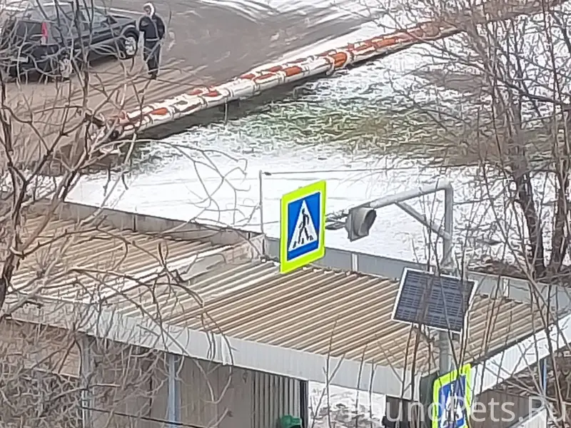 Кто потерял собаку ротвейлера,...