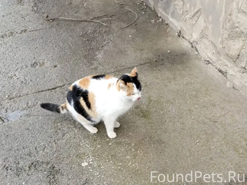 Волжский. После Рождества у до...