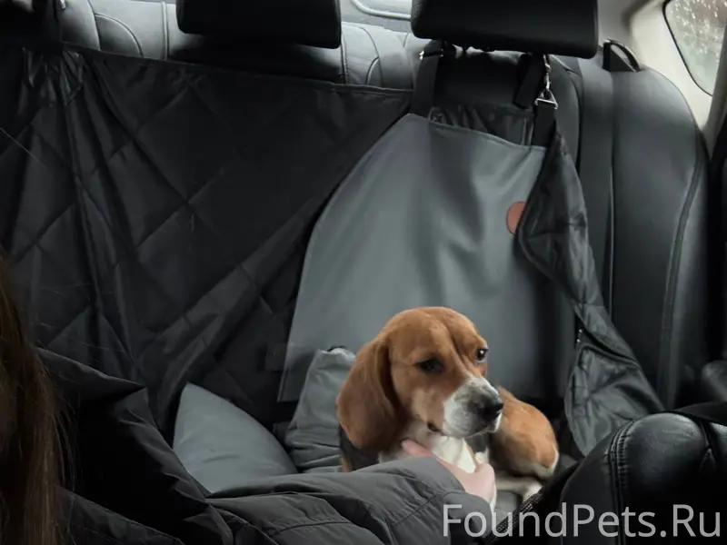 В районе села Хлебороб (Хостин...