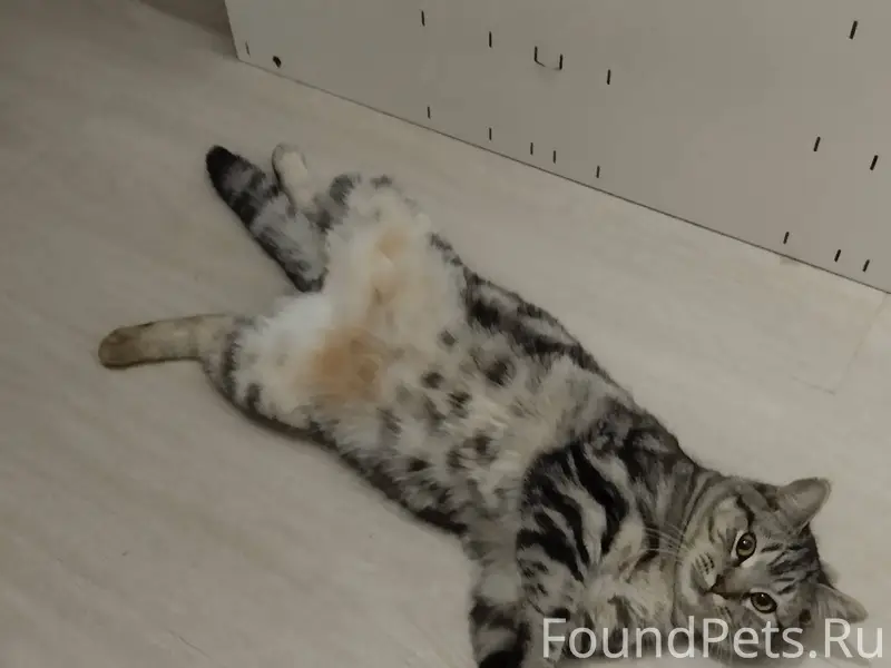 Калужская область Перемышльски...