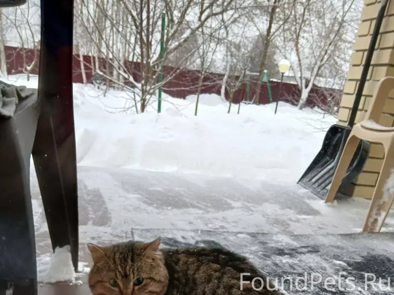 Друзья, сделайте, пожалуйста, ...