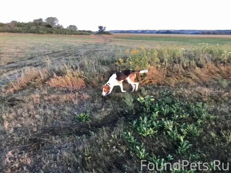 10.01.2026 г. на охоте...