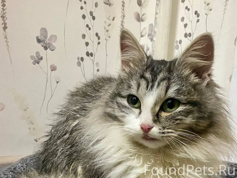 ОНА БЕЗ ЗАЩИТЫ И ХОЧЕТ ВЕРНУТЬ...