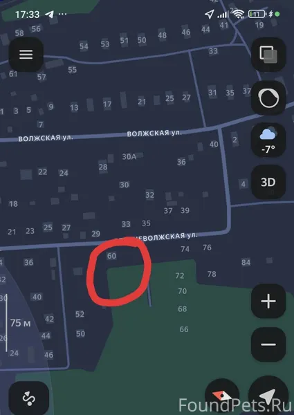 Найден кот ( кошка) мейн-кун в...