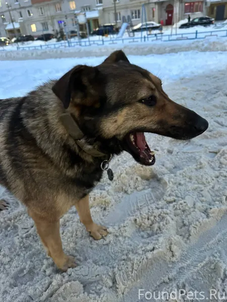 Чебоксары Здравствуйте, на ост...