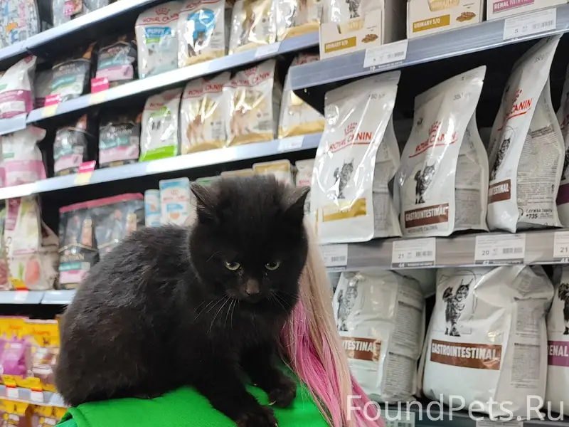 Магазин Грошык ( Тексер 2а) Ко...