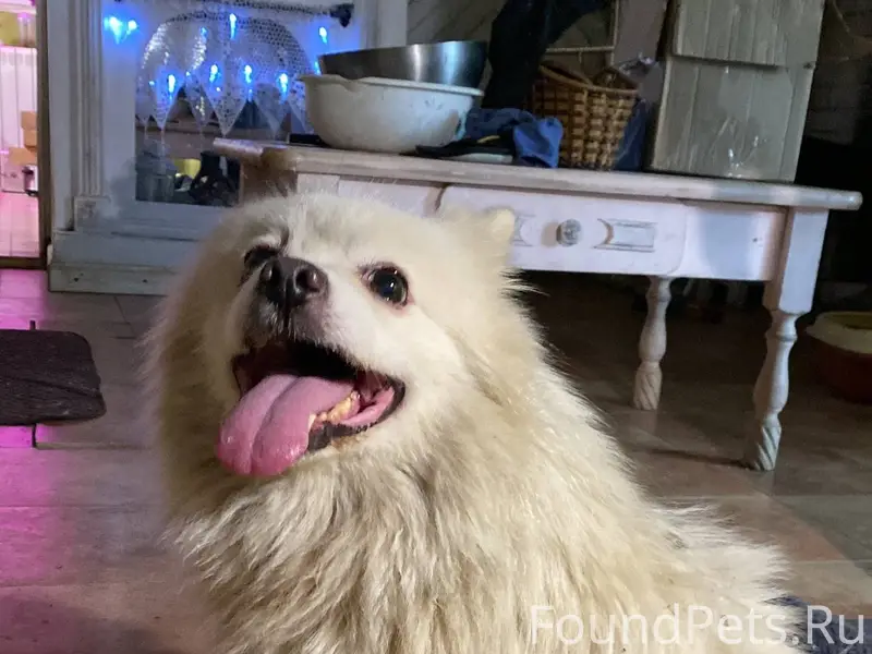 3.12.25 на участке Ферзикоао.....