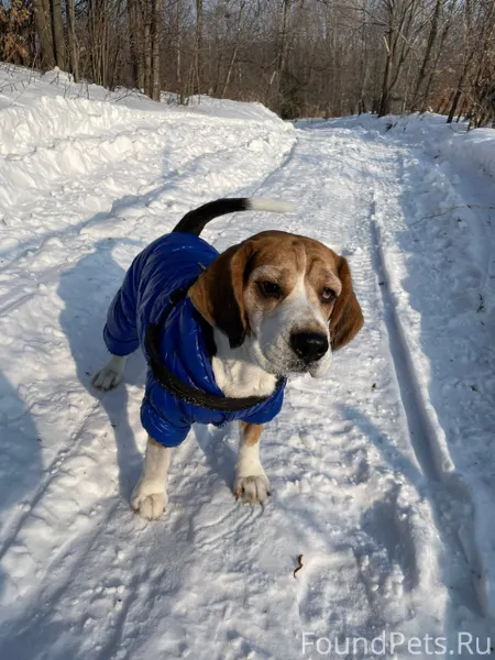 Не найден !Ищем ! В ночь на...