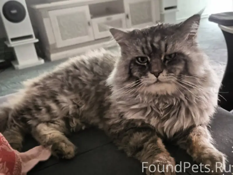 Помогите пожалуйста найти