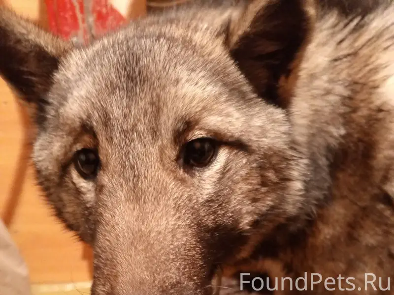 🆘🆘🆘 🆘🆘🆘 🆘🆘🆘 Сегодня ночью была...