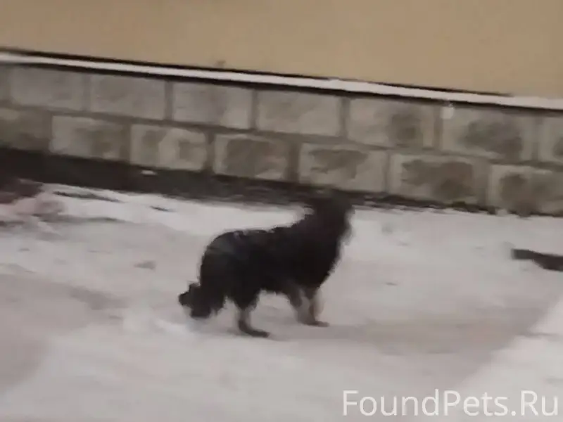 В районе Юбилейного и ВОКОДЦ б...