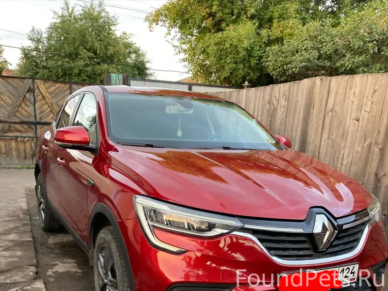 Всё ещё в надежде найти! Потер...