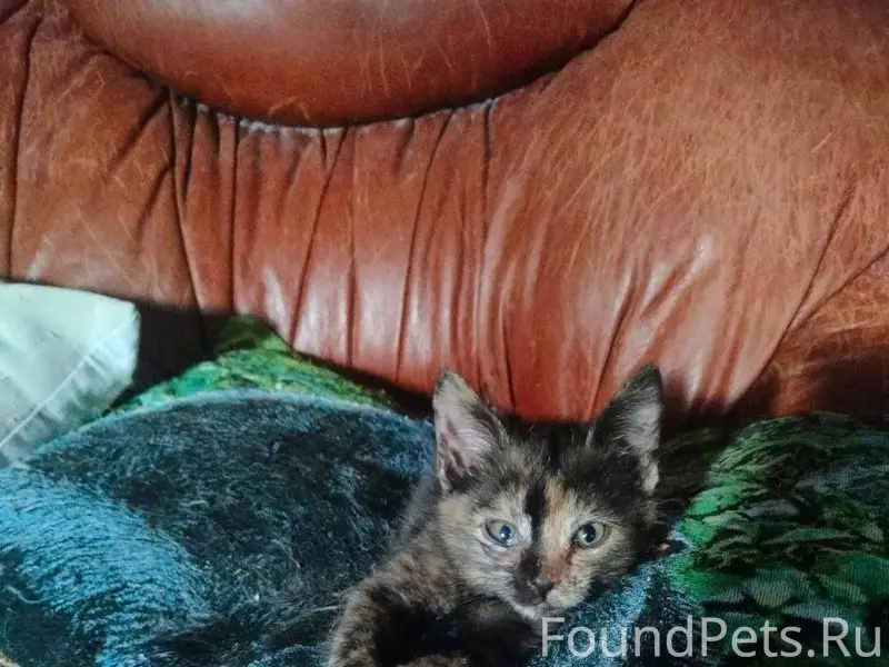 Эта милая малышка с особенным ...