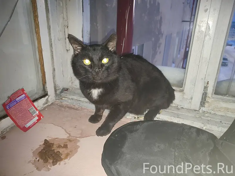 25 км, на Кирова 30 в...