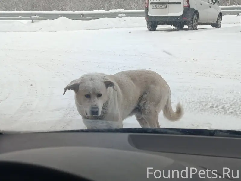 На заправке недалеко от Копейс...