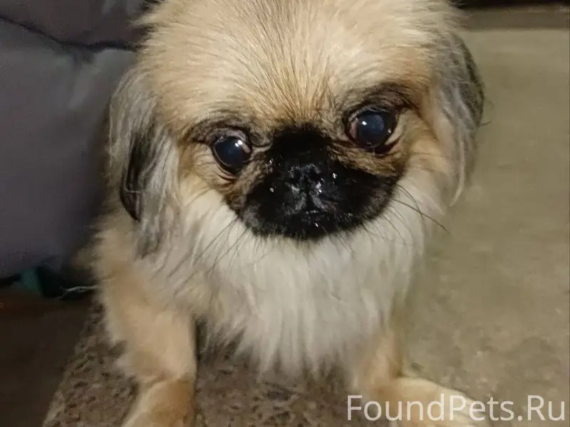 ДРУЗЬЯ, ПРОШУ РАСПРОСТРАНИТЬ🙏❤...