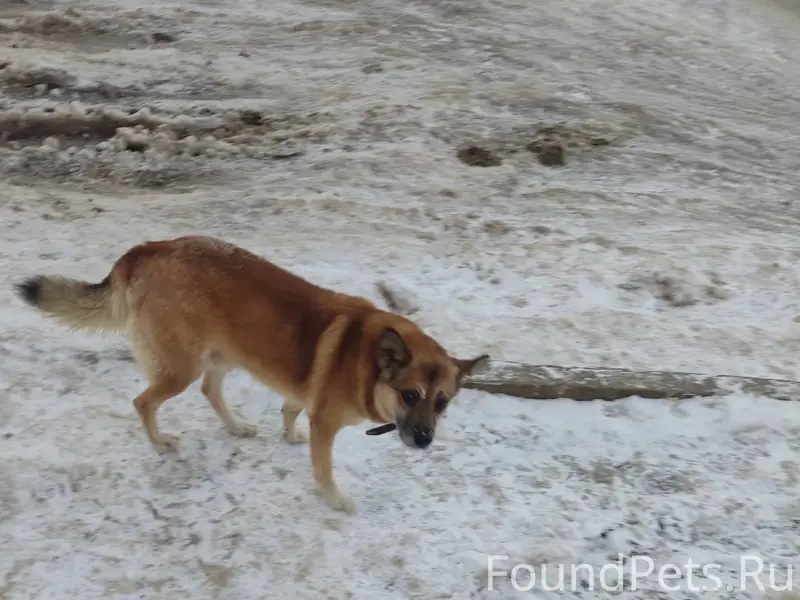 909квартал, может кто потерял,...