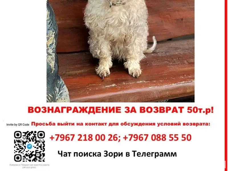 Район Реутов парка. г. Реутов....