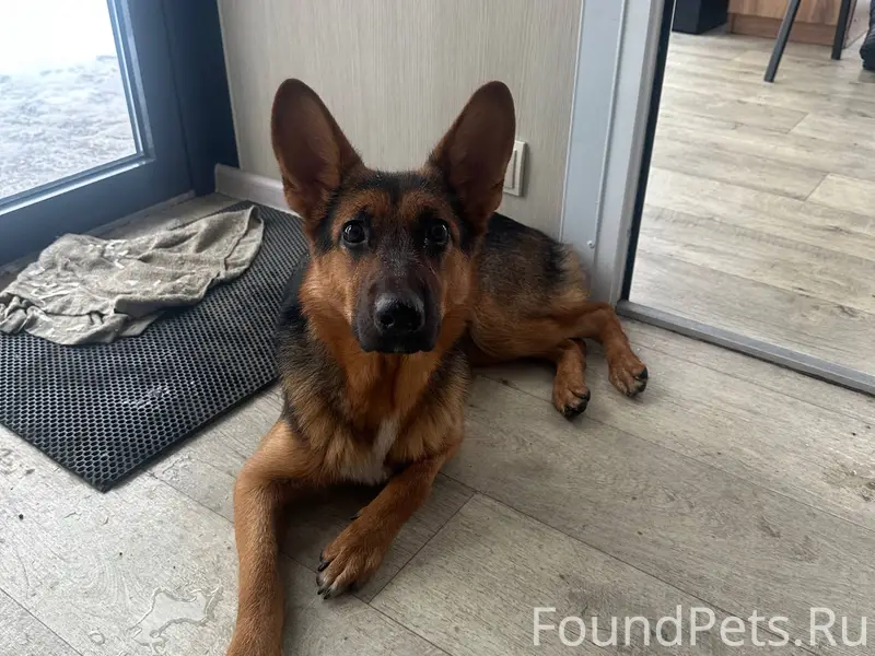 Найдена девочка!! Около памятн...