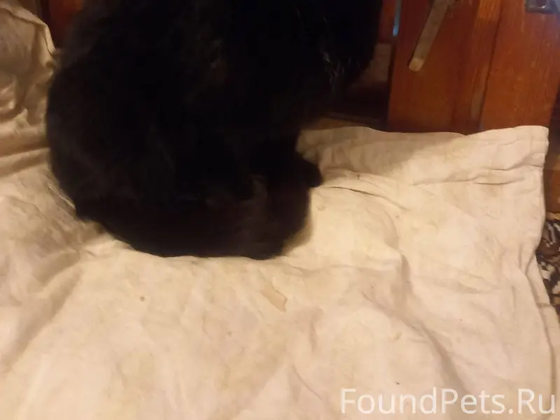 В старом больничном городке на...