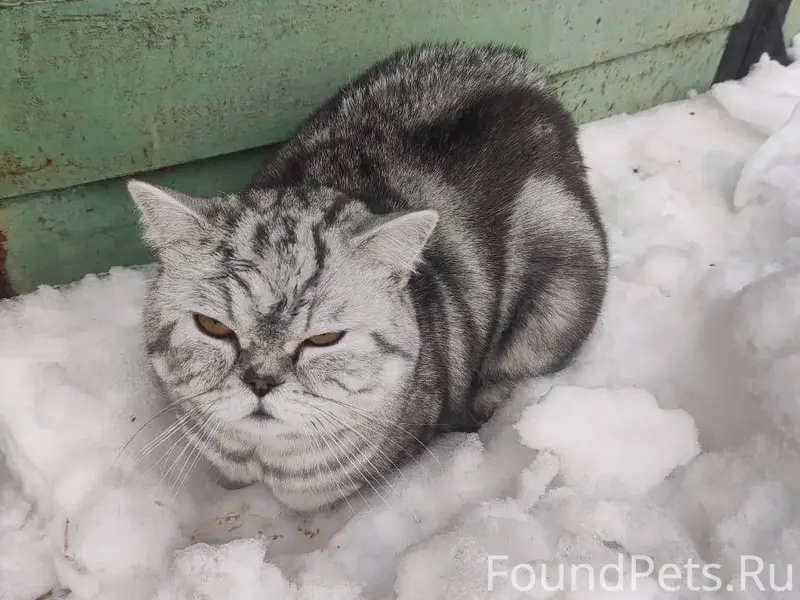 В районе 53 школы в Орске...