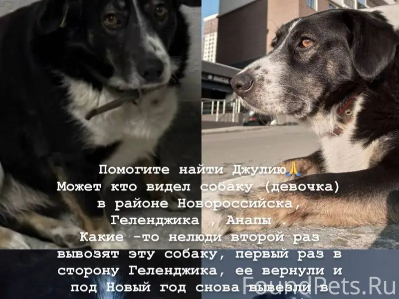 Помогите найти Джулю Город Нов...