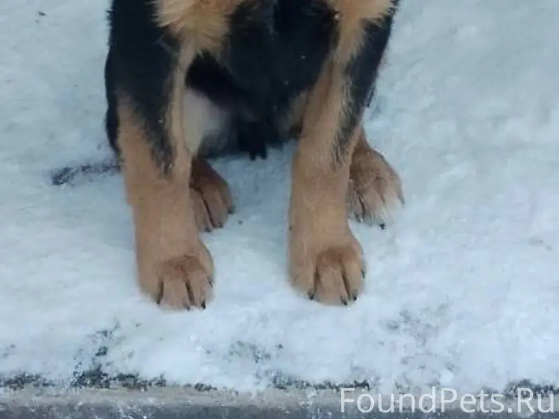 МАКСИМАЛЬНЫЙ РЕПОСТ! Найден ще...