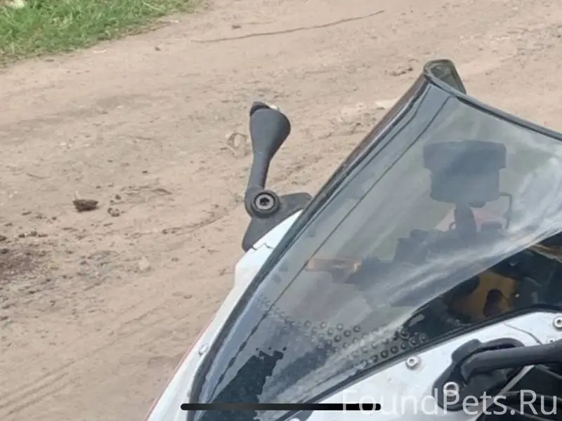 Пропала собака (С Субботы на В...