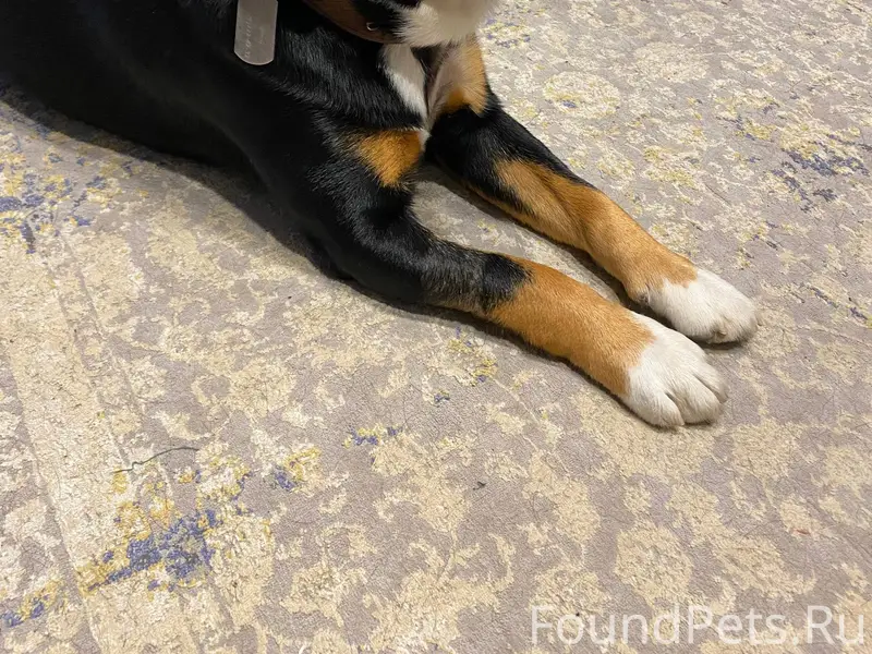 Поиски продолжаются! Важна люб...