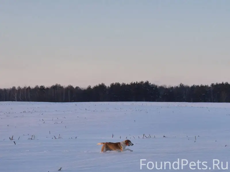 Доброго времени суток, потерял...