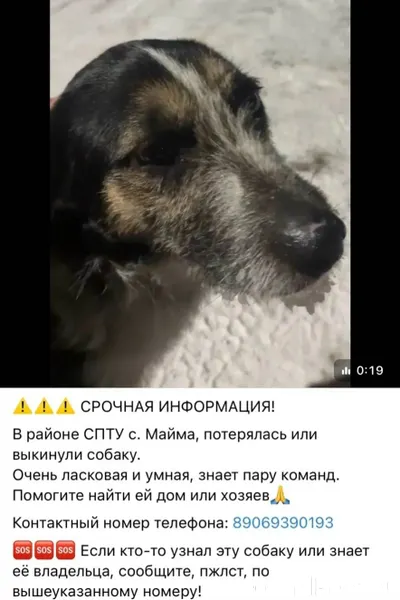 ️‼️‼️SOS‼️‼️‼️ Около месяца, в...