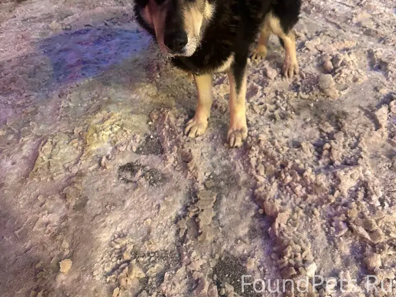 Я пришёл в вам за помощью...