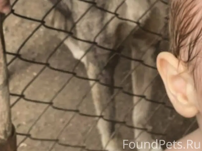 Южноуральск 04.01.26 со двора....