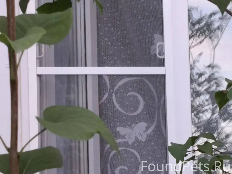 Добрый день! В районе пересече...