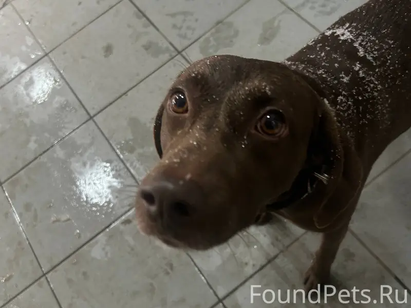 Нашла сегодня примерно в 17:30...