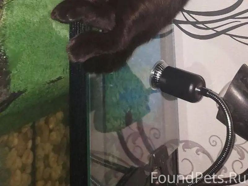 В станице Раевской в районе ул...