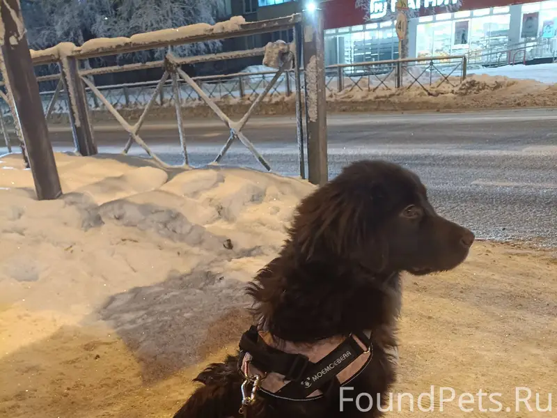 Друзья,помогите пожалуйста раз...