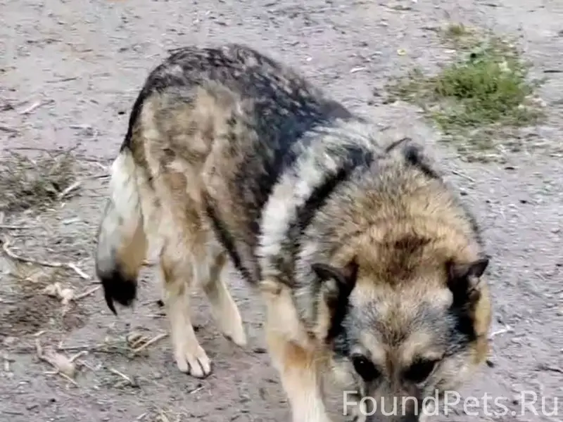 КИНЕШМА!! ОБЛАСТЬ!! И ВСЕ БЛИЗ...