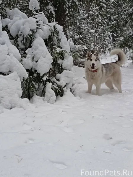 10.01.2026 во время прогулки.....