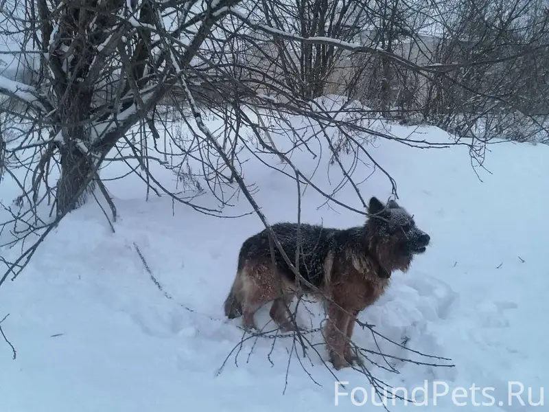 За пос Сахарово, по дороге в.....