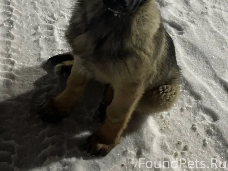 Добрый вечер 10.01.2026 в...