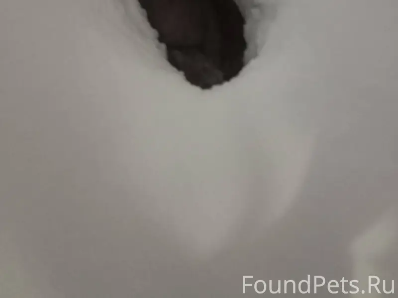 ‼️‼️‼️Г.Рошаль, около рынка , ...