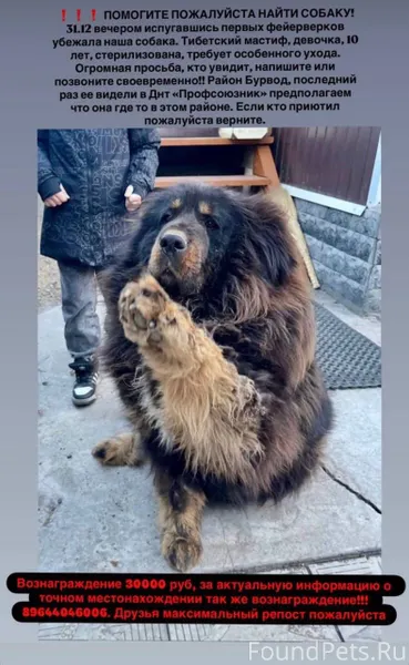 Внимание, г. Улан-Удэ, помогит...