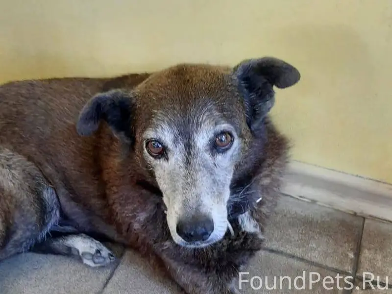 🆘🆘🆘 Ребята помогите пожалуйста...