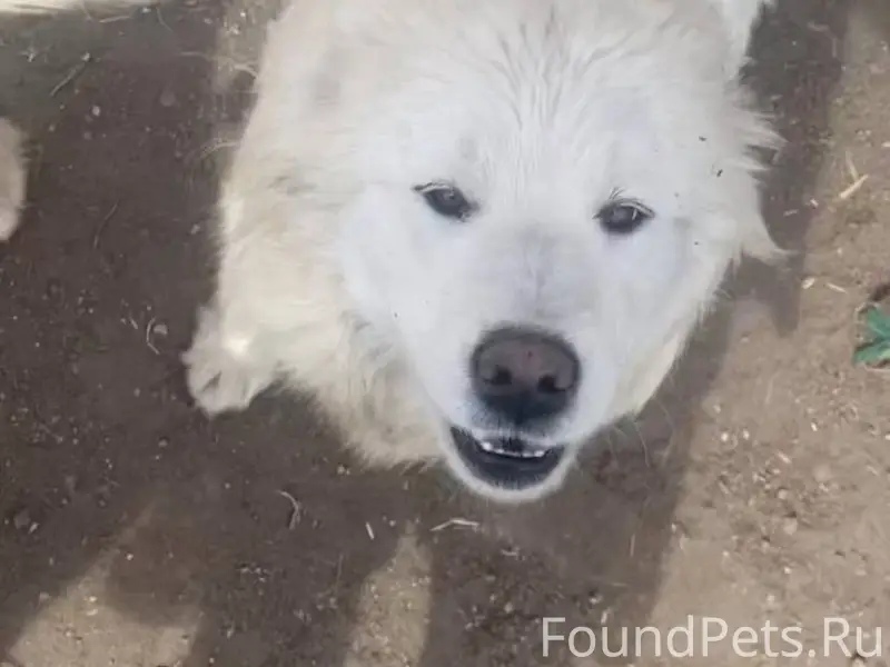 Здравствуйте. https://vk.ru/a2...