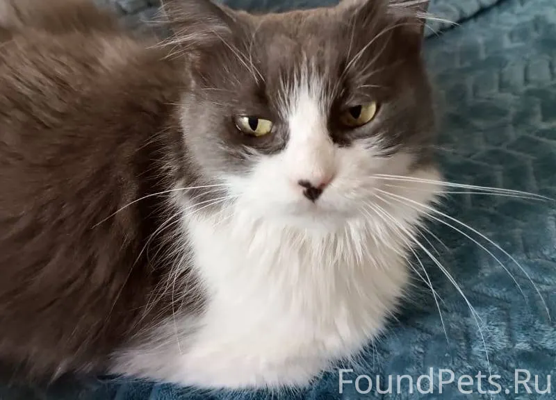 11 января примерно в 8-9...