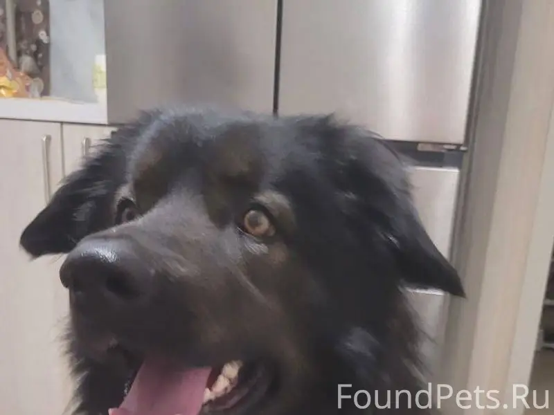 Здравствуйте! Репостните, если...