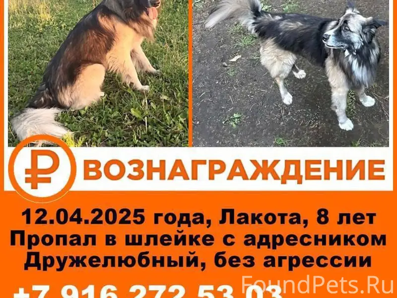 ПОИСКИ ПРОДОЛЖАЮТСЯ!!! Пропала...